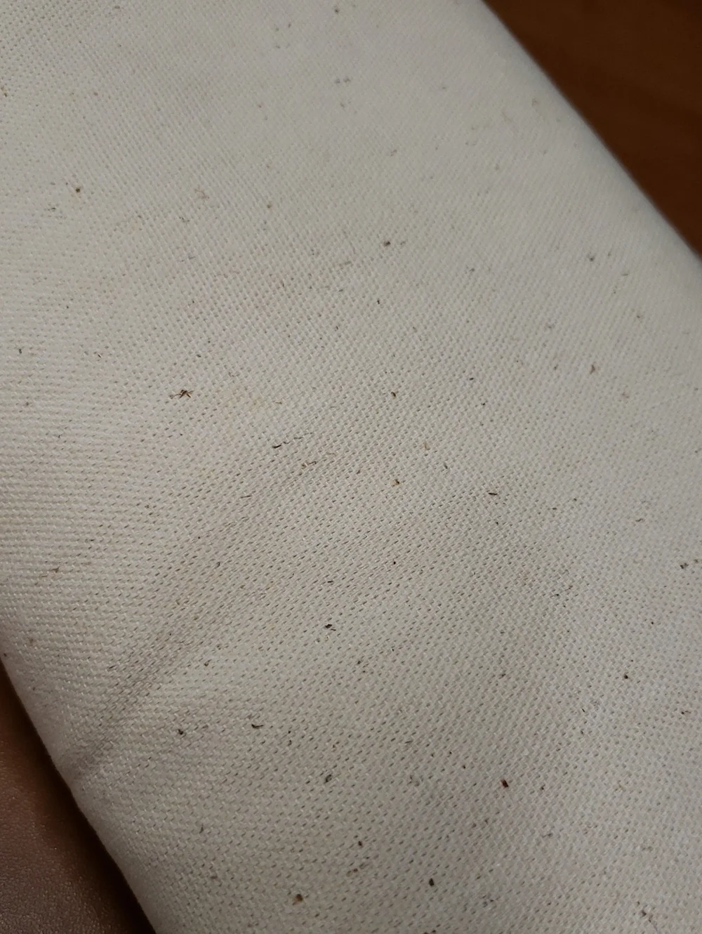 Natural Cotton Canvas Fabric Bolt - Heavyweight Plain Weave